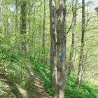 Trillium Trail Nature Sanctuary